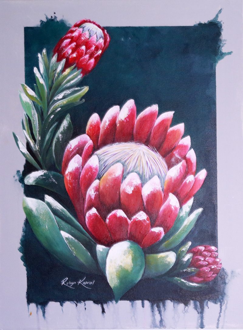 Box Protea 1