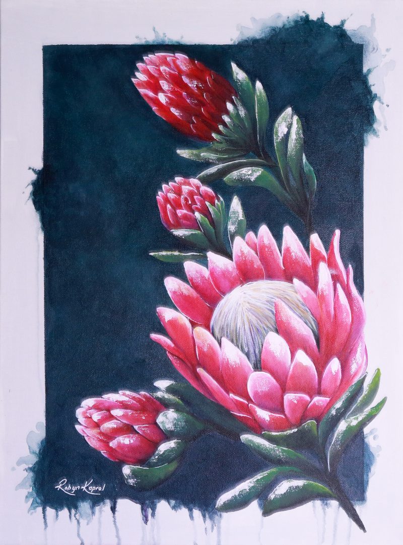 Box Protea 2